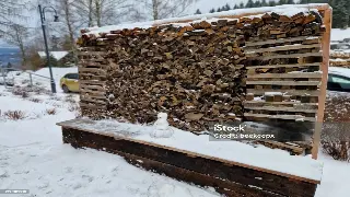 佛山人的养生秘笈：不再纠结吃啥，这样搭配让你活力满满！